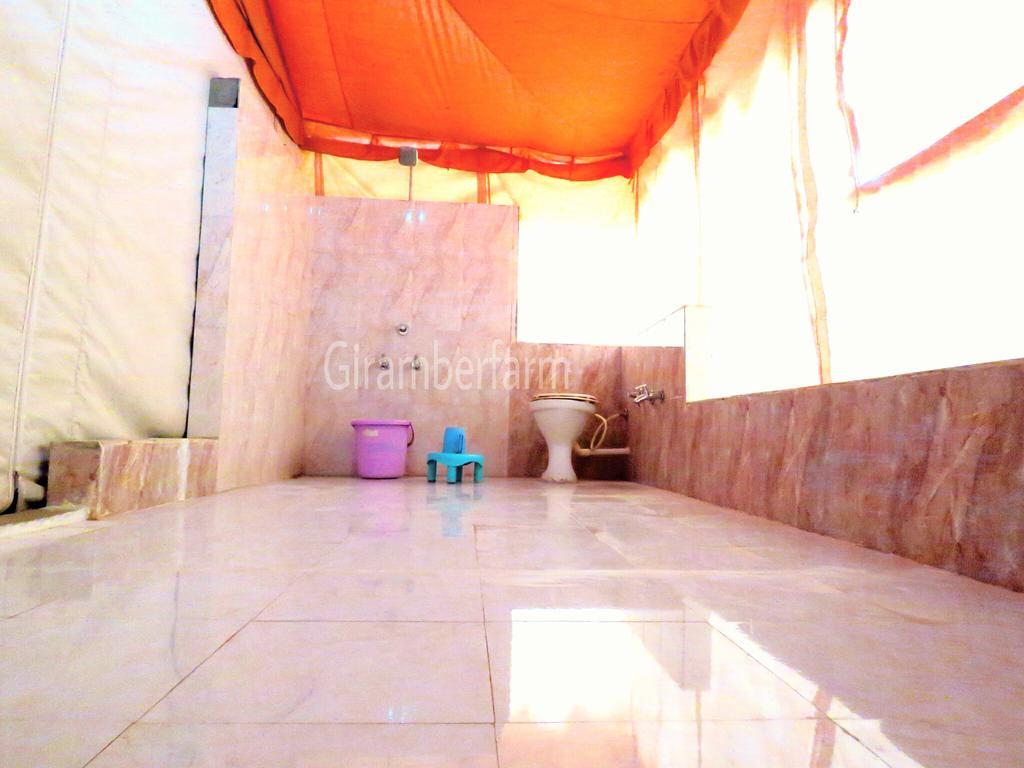 Amber Farm Sasan Gir Bagian luar foto