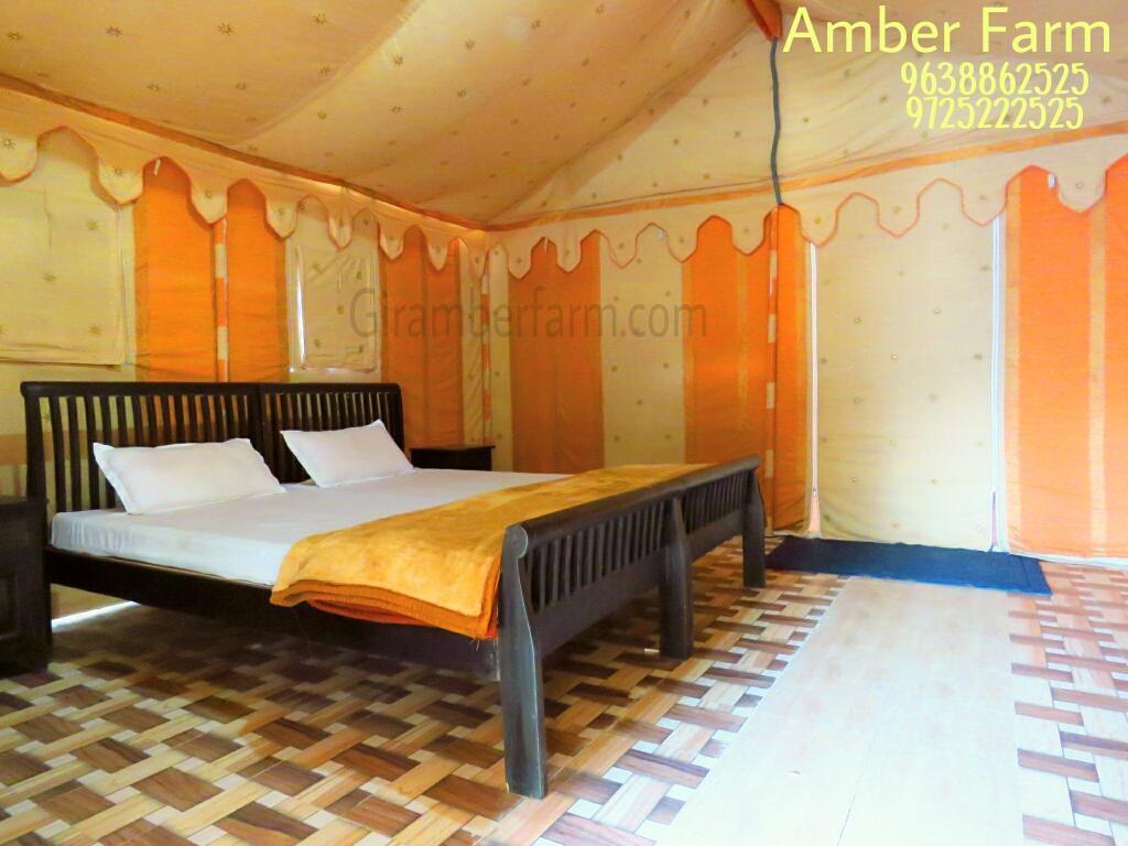 Amber Farm Sasan Gir Bagian luar foto