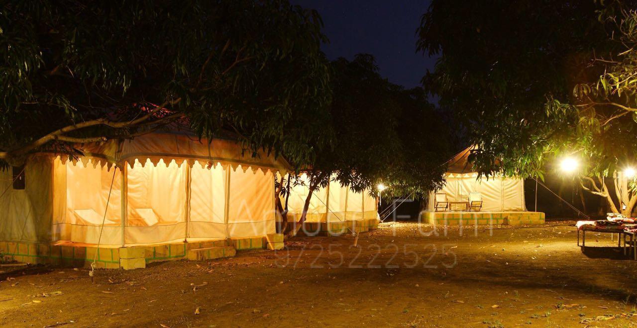 Amber Farm Sasan Gir Bagian luar foto
