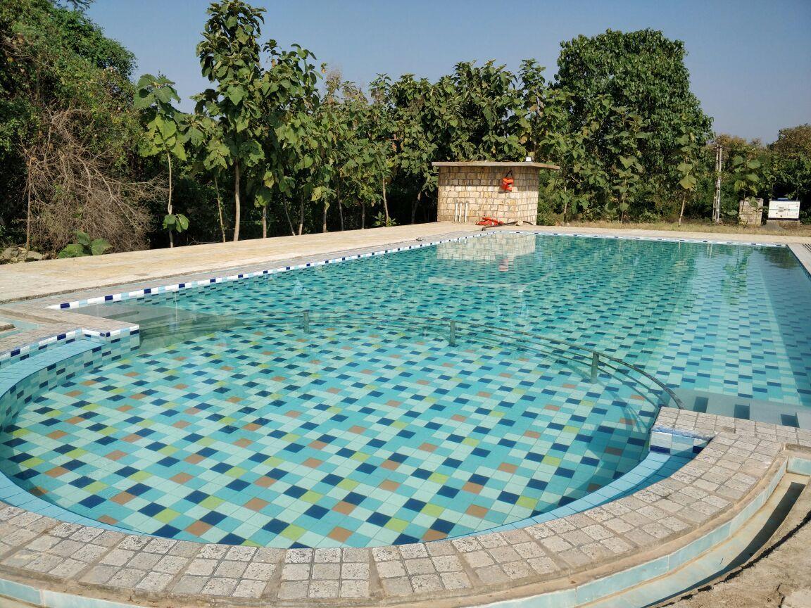 Amber Farm Sasan Gir Bagian luar foto